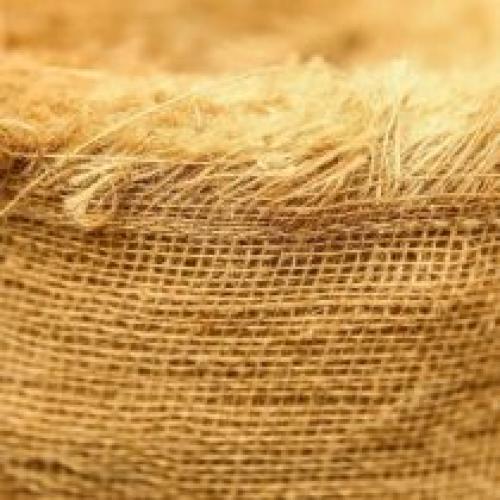 Как защитить растения от морозов и заморозков. Как защитить растения от мороза