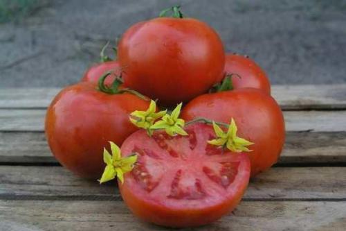 Помидор Махитос. Томат Махитос f1: описание сорта и характеристика