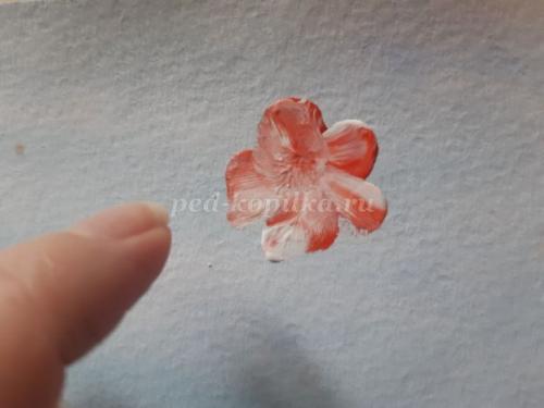 Яблоня после сбора урожая. Подготовка яблони к новому сезону после сбора урожая: шесть слагаемых яблочного успеха 09