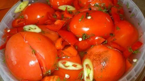 Рецепт бочковых помидор в ведре. Самые вкусные и простые рецепты засолки помидоров в ведре: делаем отменные заготовки на зиму