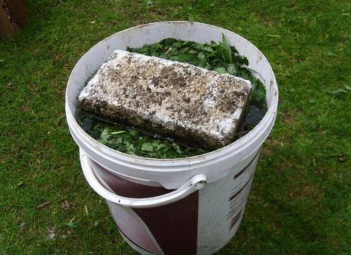 Подкормка молодых яблонь. Органика