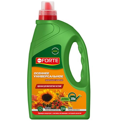 Как правильно подкормить розы осенью под зиму: советы и рекомендации 02 Как правильно подкормить розы осенью под зиму: советы и рекомендации 02