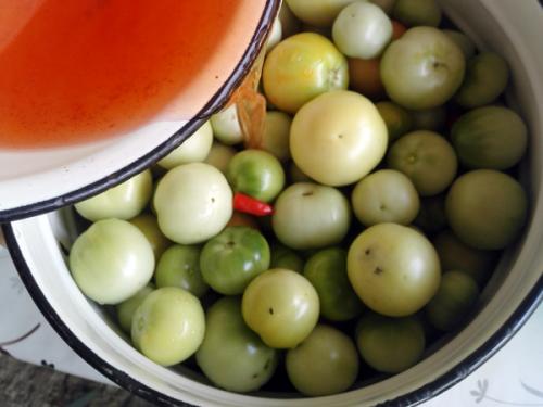 Быстрый рецепт малосольных зеленых помидоров в кастрюле: простота и вкус 04 Быстрый рецепт малосольных зеленых помидоров в кастрюле: простота и вкус 04