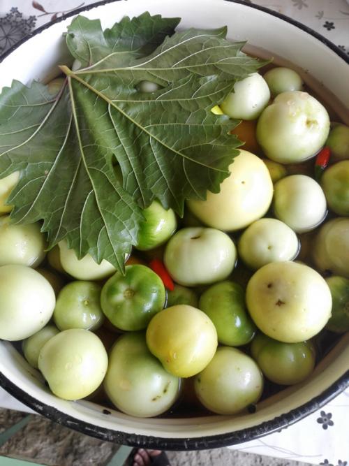 Быстрый рецепт малосольных зеленых помидоров в кастрюле: простота и вкус 05 Быстрый рецепт малосольных зеленых помидоров в кастрюле: простота и вкус 05