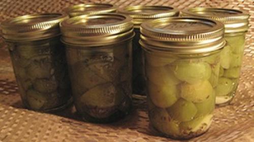 Как хранить приготовленные зеленые помидоры с чесноком. Зелёные помидоры на зиму, фаршированные чесноком