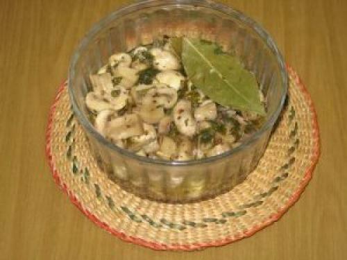 Headlines: 18 Headlines: 18