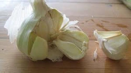 Какие особенности имеет рецепт маринованных зеленых помидоров, фаршированных чесноком. Зелёные помидоры на зиму, фаршированные чесноком