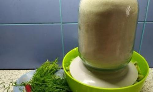 Как лучше подавать закуску из зелёных помидоров с чесноком. Зеленые помидоры с чесноком