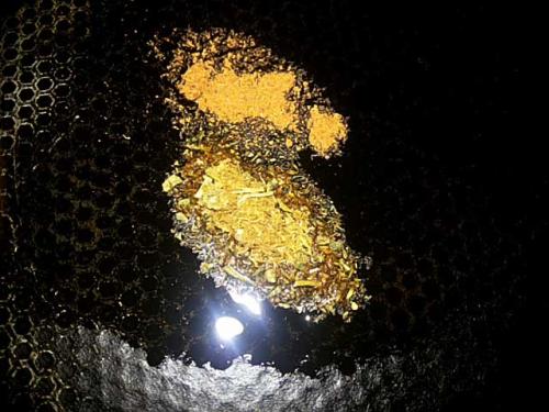 Баклажаны по-корейски с помидорами на зиму. Баклажаны по-корейски — самый вкусный рецепт