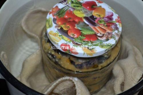 Баклажаны по-грузински на зиму. Как приготовить баклажаны по-грузински на зиму кружочками 27 Баклажаны по-грузински на зиму. Как приготовить баклажаны по-грузински на зиму кружочками 27