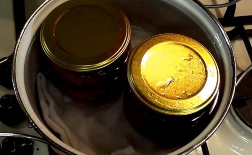 Баклажаны по-грузински быстро. Острые баклажаны по-грузински: самый вкусный рецепт быстрого приготовления