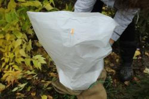 Уход за гортензией осенью и подготовка ее к зиме. Осенняя обрезка гортензий Некоторые садоводы задаются вопросом, а нужно ли это делать. Непременно! Главный смысл такой 03