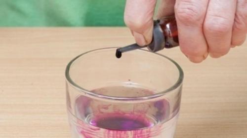 Чем подкормить гортензию для роста и пышного цветения. Зачем подкармливать? 12 Чем подкормить гортензию для роста и пышного цветения. Зачем подкармливать? 12