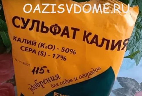 Чем подкормить гортензию на зиму. Лучшие удобрения для осенней подкормки гортензий в августе и сентябре