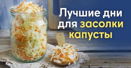Когда квасить капусту на зиму в 2021 году. Когда квасить капусту в 2021 году